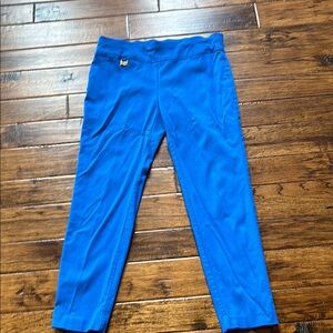 Vibrant Blue Cropped Pants